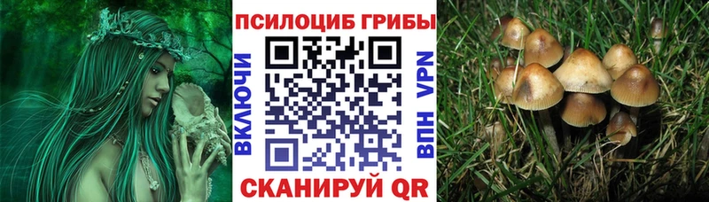что такое наркотик  Ворсма  Псилоцибиновые грибы мухоморы 